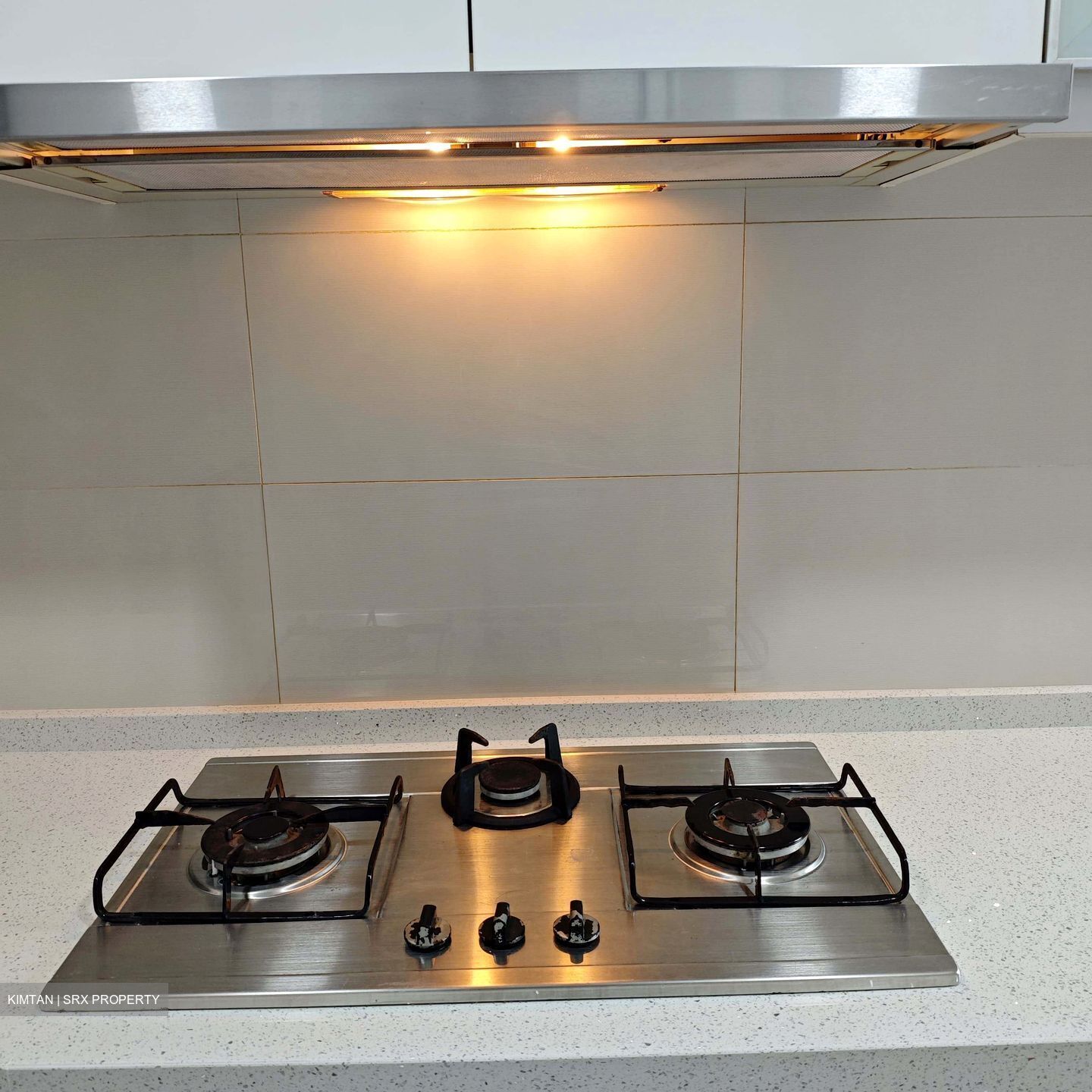 1 Canberra (D27), Condominium #553020881